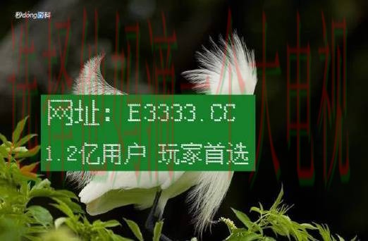 凯时平台入口官方网站 凯时平台入口官方网站